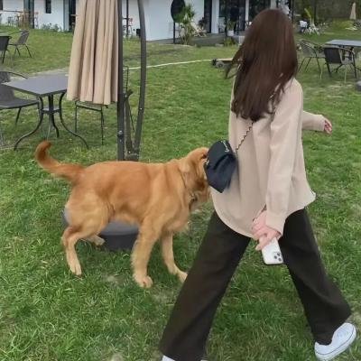 芝加哥烈焰第十三季